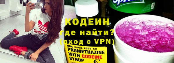 прущие грибы Алзамай