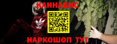 ешки Кингисепп