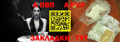 ешки Кингисепп