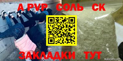 бошки Кимры