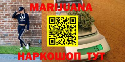ешки Кингисепп