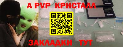 ешки Кингисепп