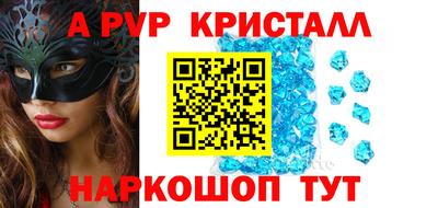 ешки Кингисепп
