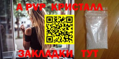 бошки Кимры