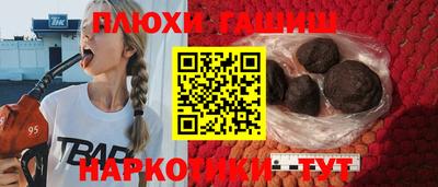 ешки Кингисепп