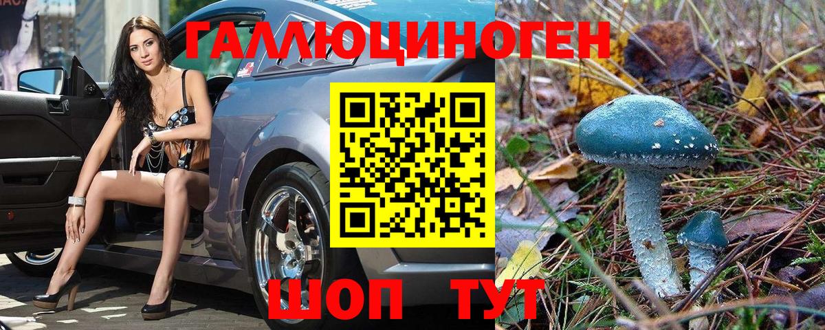 Псилоцибиновые грибы мицелий Комсомольск-на-Амуре