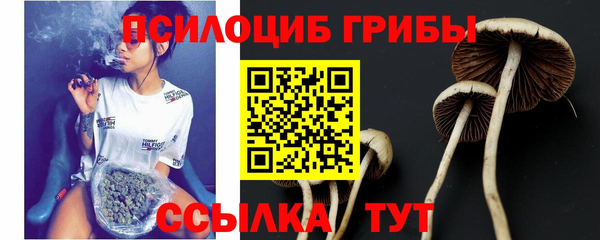 Псилоцибиновые грибы Psilocybe  Галлюциногенные грибы мицелий  Вход с VPN  Комсомольск-на-Амуре 